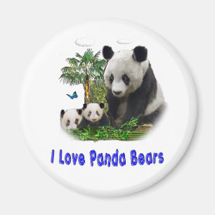 Panda Bears  Magnet