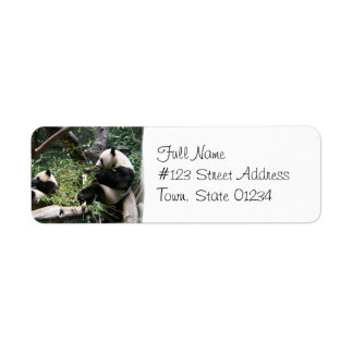 Panda Bears Mailing Label