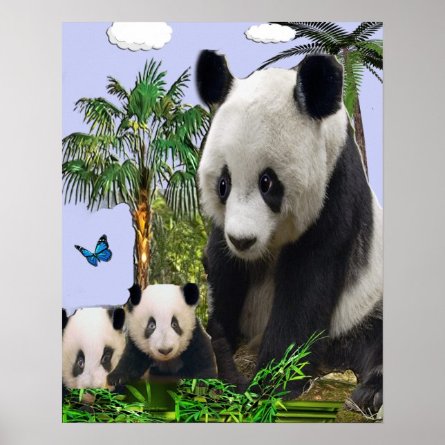 Panda bears  poster (Front)