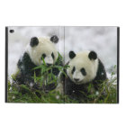 Panda Bears Powis iCase iPad Cases