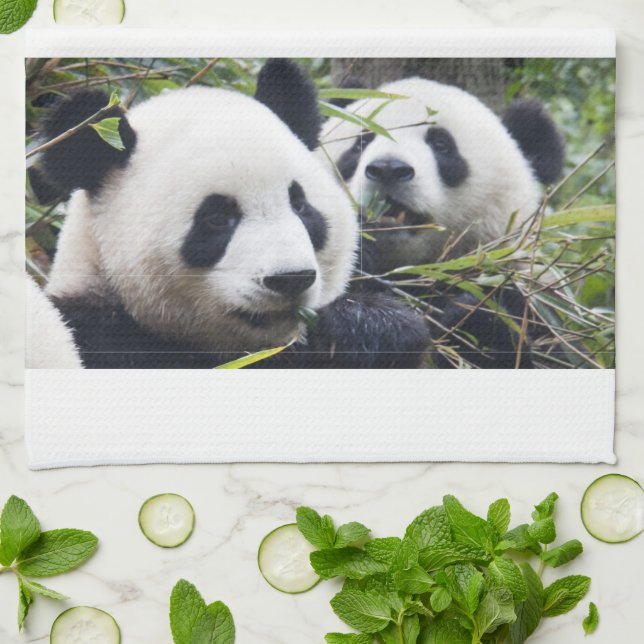 Panda Bears Tea Towel (Folded)