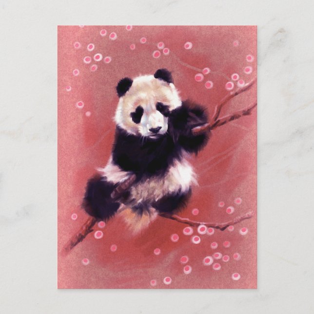Panda Blossom Postcard (Front)