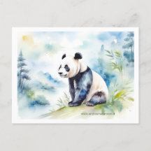 Panda brings good luck