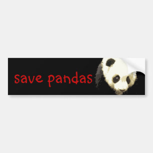 Panda Bumper Sticker
