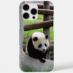 Panda iPhone 16 Pro Max Case
