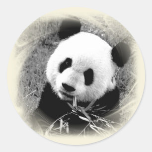 Panda Classic Round Sticker