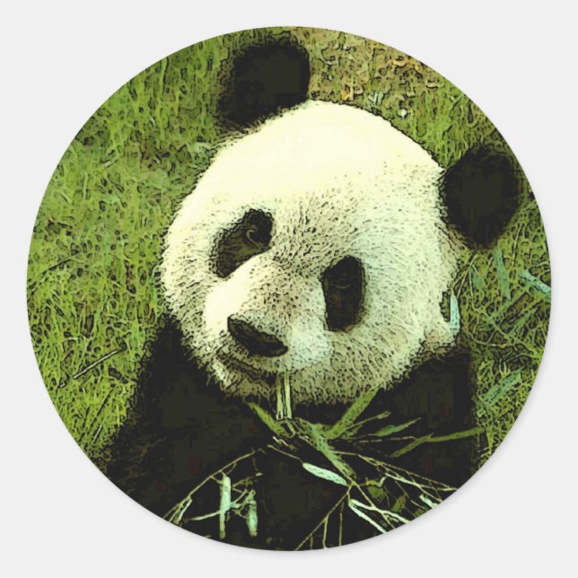 Panda Classic Round Sticker (Front)