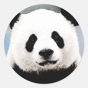 Panda Classic Round Sticker