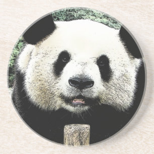 Panda Coaster