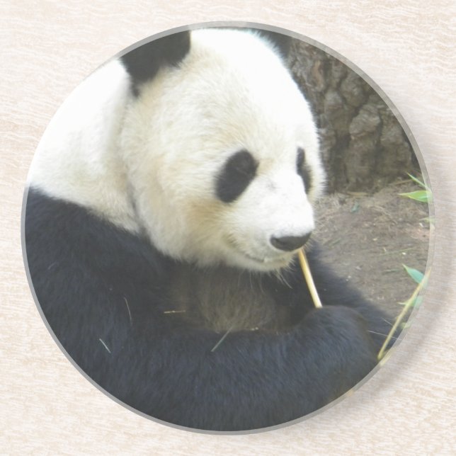 Panda Coater Coaster (Front)