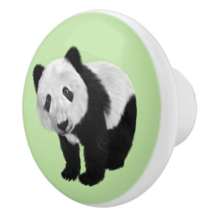 Panda Cub Green Ceramic Knob
