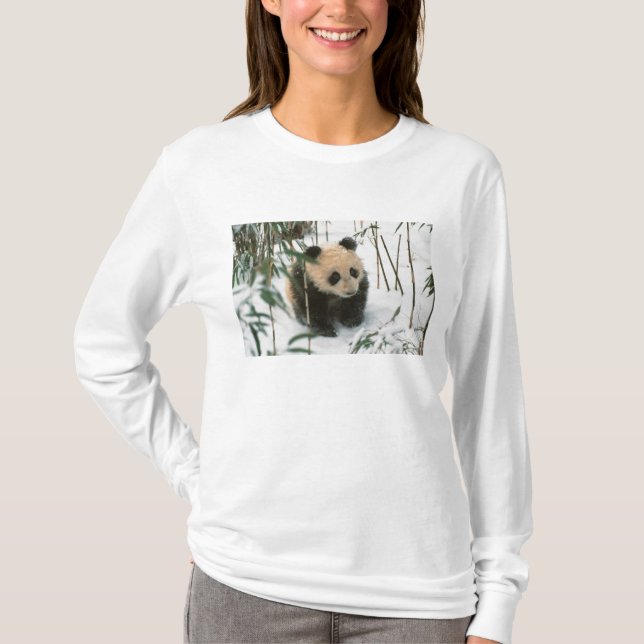 Panda cub on snow, Wolong, Sichuan, China T-Shirt (Front)