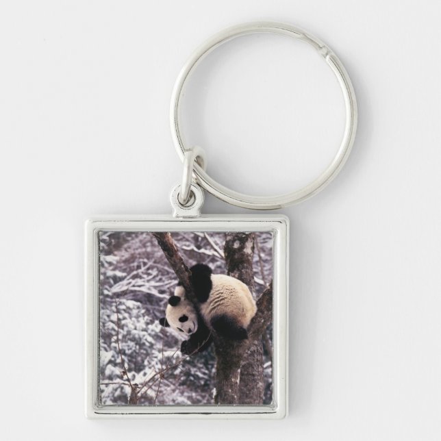 Panda cub playing on tree covered with snow, key ring (Front)