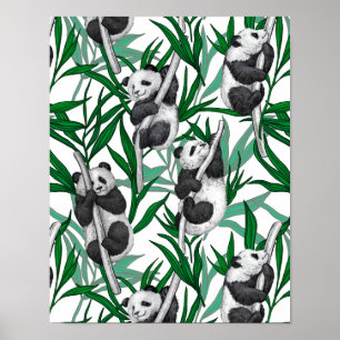 Panda cubs on poster