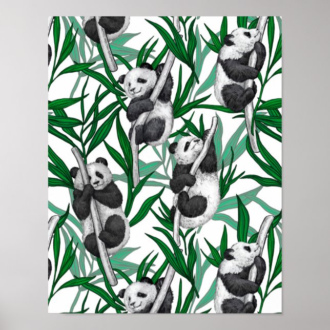 Panda cubs on poster (Front)