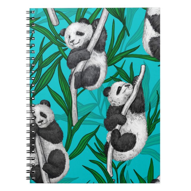 Panda cubs on turquoise notebook (Front)