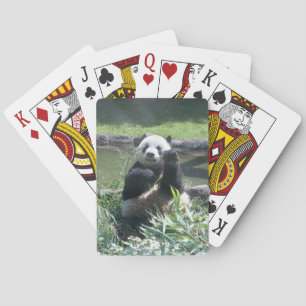 Panda Deck of Playing Cards