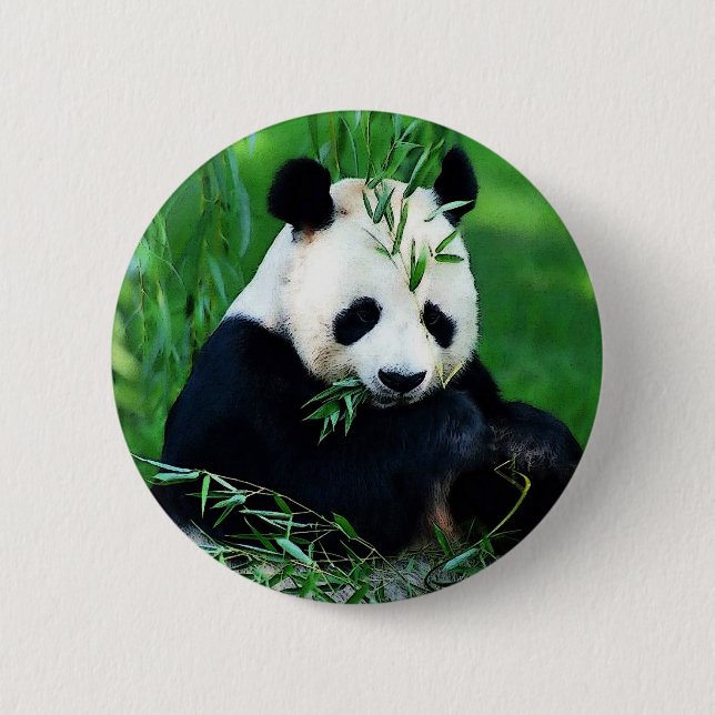 Panda Eating Leaves 6 Cm Round Badge (Front)