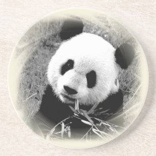 Panda Eyes Coaster