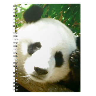 Panda Face Spiral Notebook
