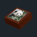 Panda Gift Box for Teacher<br><div class="desc">This personable panda was photographed in Chengdu,  China. This makes a great gift for a teacher,  mother's day,  or any special someone. The sample text can be modified or erased.   All Rights Reserved © 2013 Alan & Marcia Socolik</div>