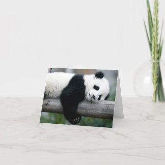 Panda Hugging Post Card