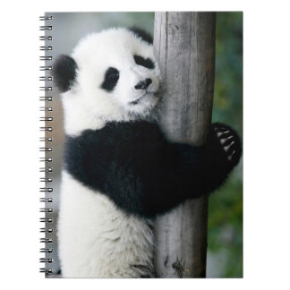 Panda Hugging Post Notebook