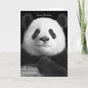 Panda image for birthday-greeting-card card
