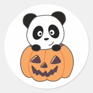 Panda In Pumpkin Sweet Pandas Happy Halloween Clas Classic Round Sticker