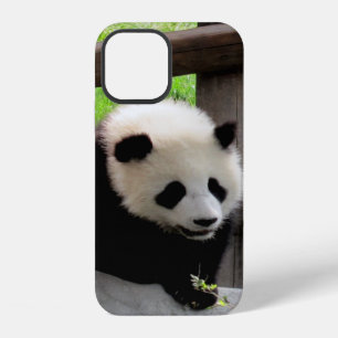 panda iPhone 12 case