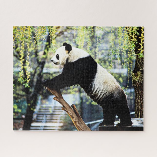 Panda Jigsaw Puzzle (Horizontal)