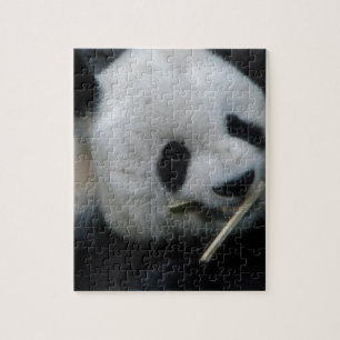 Panda Jigsaw Puzzle