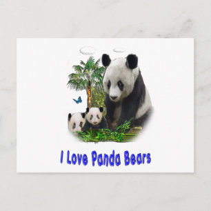 Panda Love art Postcard