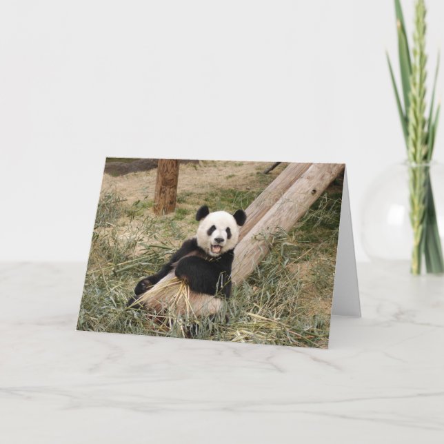 Panda M001 Card (Front)