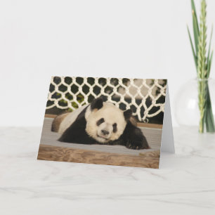 Panda M010 Card