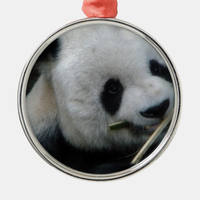 Panda Metal Tree Decoration (Front)