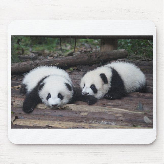 Panda Mouse Pad (Front)