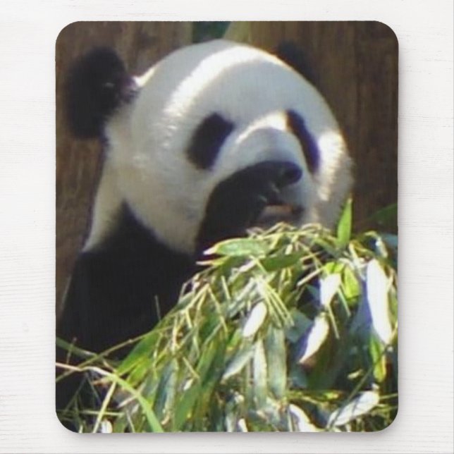 Panda Mouse Pad (Front)