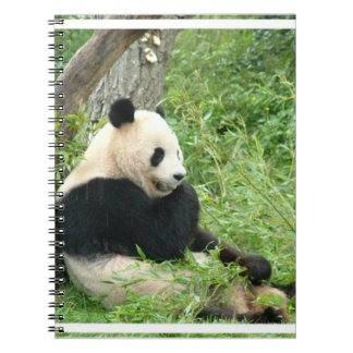 Panda  Notebook
