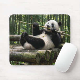 Panda on a Log Platform Mouse Pad