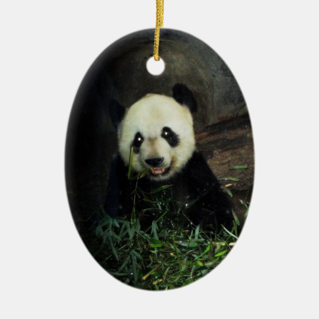 Panda Ornament ~ Endangered Species Series (Front)
