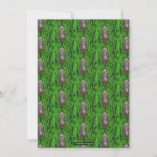 Panda (pattern) - Greeting Card