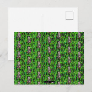Panda (pattern) - Postcard