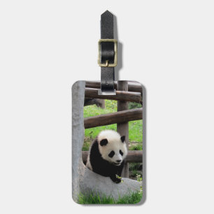 Panda Photograph - Personalizable Luggage Tag