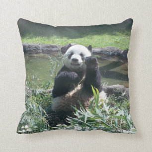 Panda Pillow