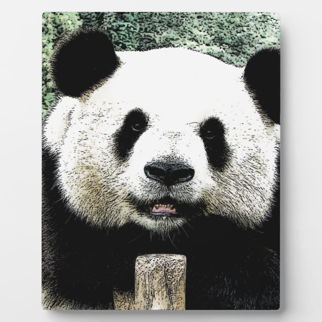 Panda Plaque (Front)