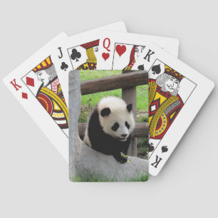 Panda Playing Cards