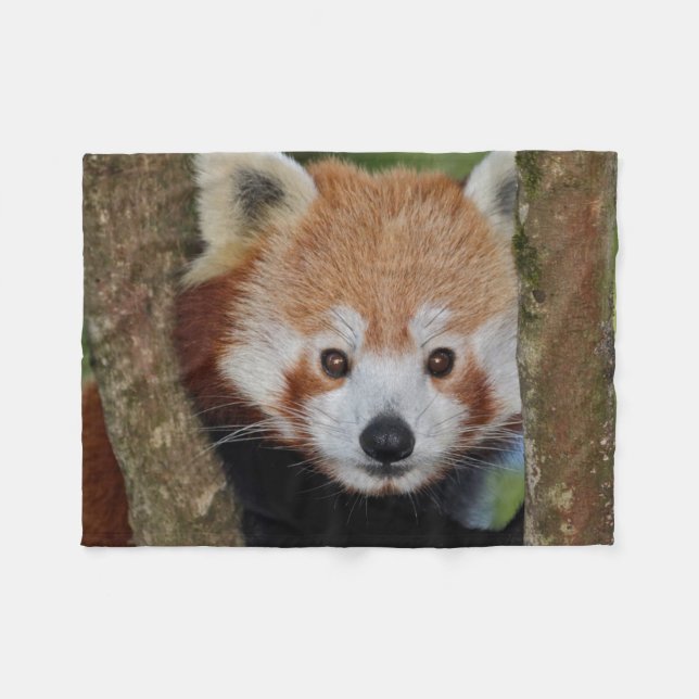 Panda Portrait Fleece Blanket (Front (Horizontal))