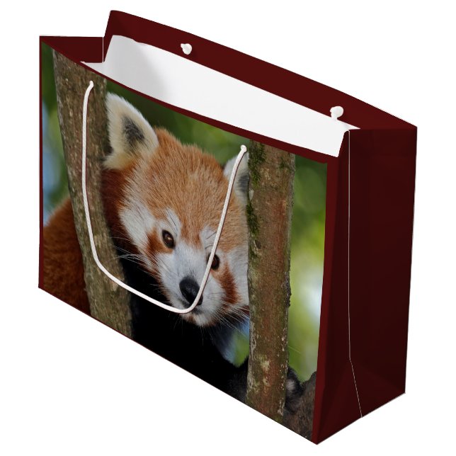 Panda Portrait Gift Bag (Front Angled)