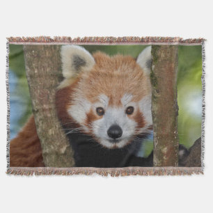 Panda Portrait Throw Blanket